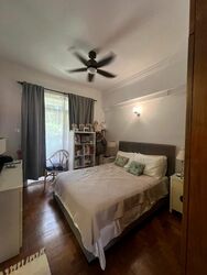 Tanglin Park (D10), Condominium #457954881